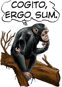 Caricatura di una scimmia che pensa
