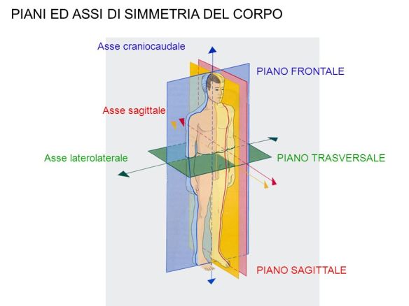 Immagine rappresentativa dei principali assi e piani del corpo umano