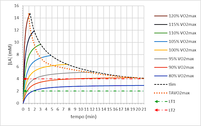 immagine del grafico sull'andamento della concentrazione di lattato in base al VO2max immagine del grafico sull'andamento della concentrazione di lattato in base al VO2max