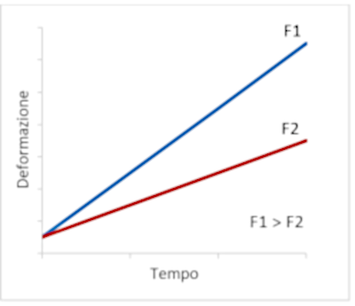 immagine grafico sulla modifica delle strutture muscolo tendinee