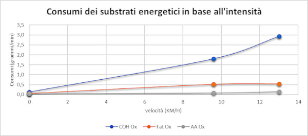 immagine del grafico riassuntivo sui consumi metabolici