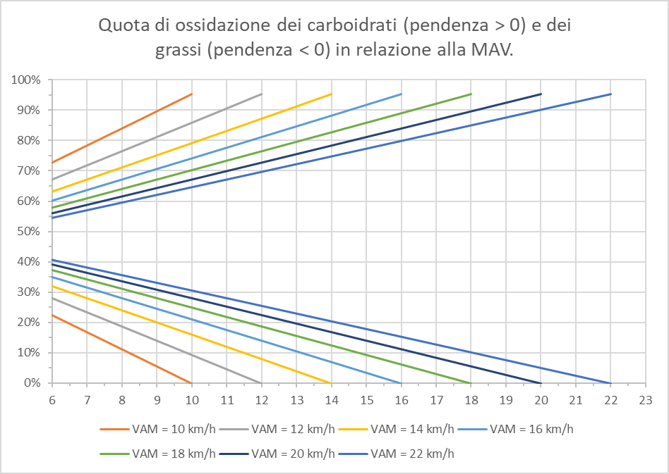 grafico sull'equivalente calorico e la quota di carboidrati in relazione alla massima velocità aerobica