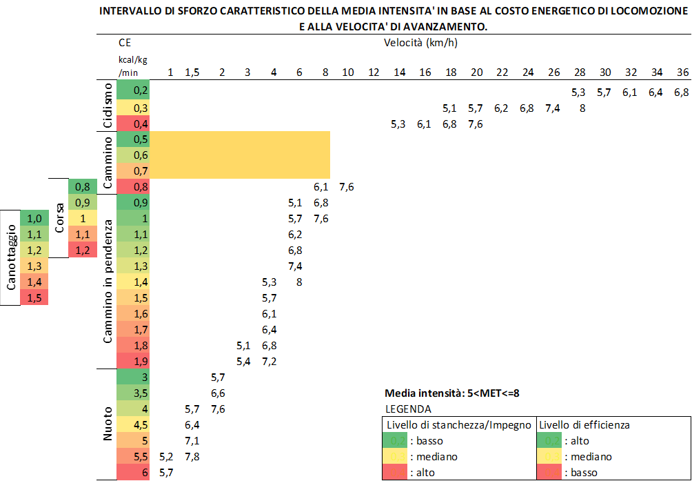 Immagine del grafico sugli intervalli della media intensità di esercizio fisico Immagine del grafico sugli intervalli della media intensità di esercizio fisico