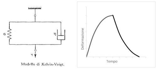 immagine schematica del MODELLO DELLA STRUTTURA muscolare del suo comportamento sotto trazione